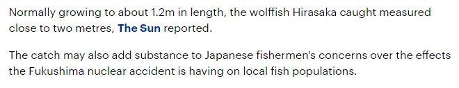 japanese-fisherman-reels-massive-fish-caught-coast-japan-not-far-site-fukushima-nuclear-plant-accident